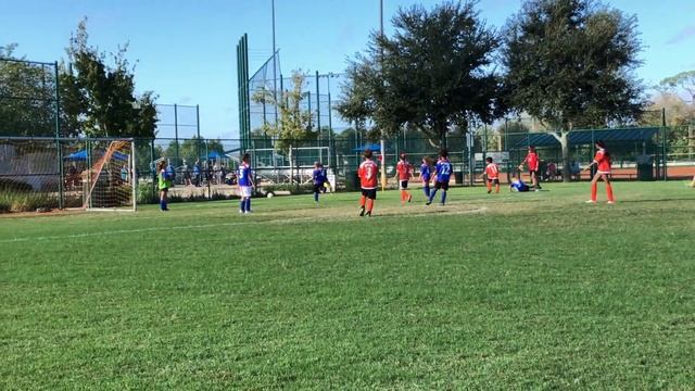 Tiger Sharks Game 7 смотреть онлайн