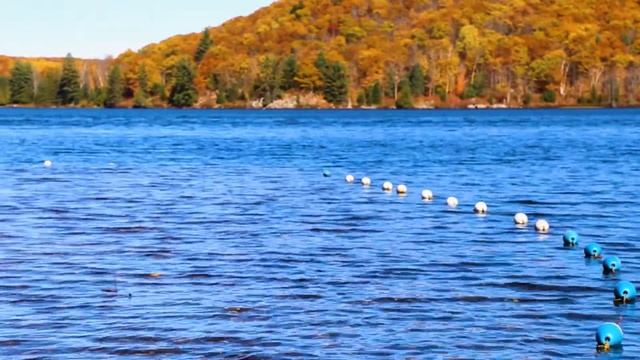 BlockAid Lake Saver смотреть онлайн