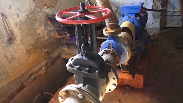 Кандидат в депутаты ЗакСо Свердловской области Елена Апрод рассказала почему решила стать депутатом смотреть онлайн