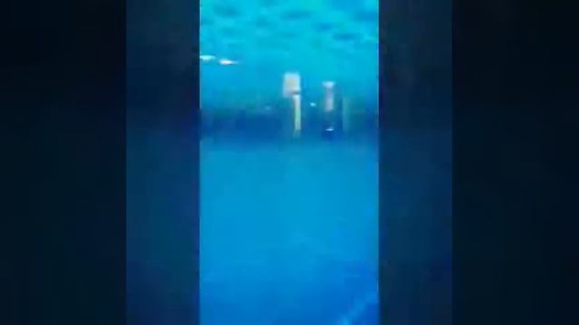 Стеклянный лабиринт) Я нашла выход первая ) смотреть онлайн