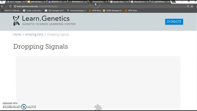 using java and flashplayer web-based simulations смотреть онлайн