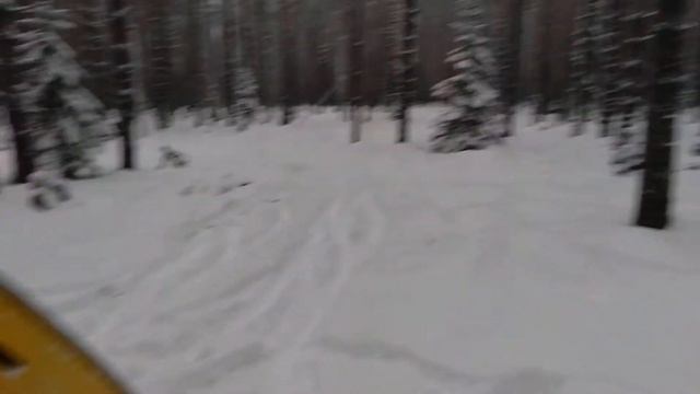 НОВОГОДНИЙ ЗИМНИЙ ЛЕС смотреть онлайн
