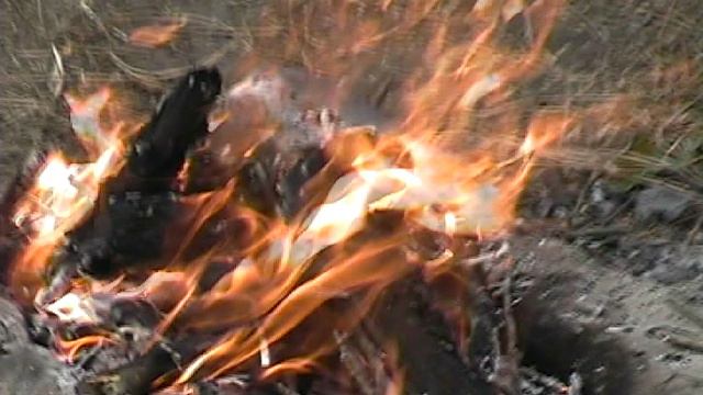 After Spain 2001 Short 003