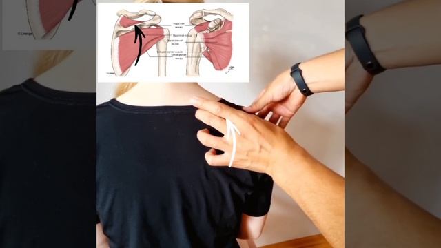 БОЛЬ В ПЛЕЧЕ/НАДОСТНАЯ МЫШЦА/МАССАЖ/ДОКТОР ПАК смотреть онлайн