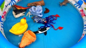 ДИКИЕ ЖИВОТНЫЕ ИГРУШКИ В КОРОБКЕ Узнайте названия для детей Морские Акула Крокодил