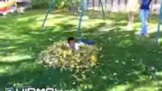 Бедный кот смотреть онлайн