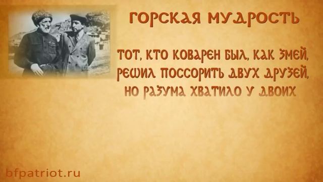 Гамзат Цадаса 7 смотреть онлайн