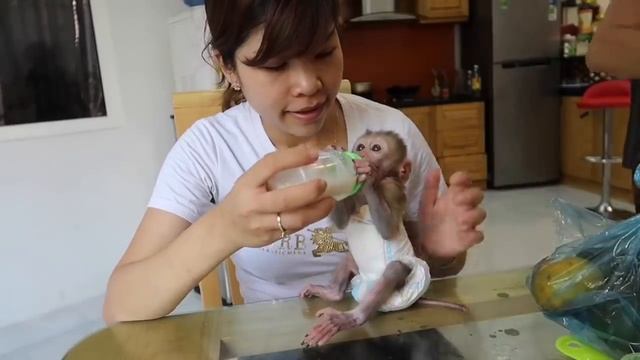 Monky GON and MIU - nail cleaning by mother смотреть онлайн