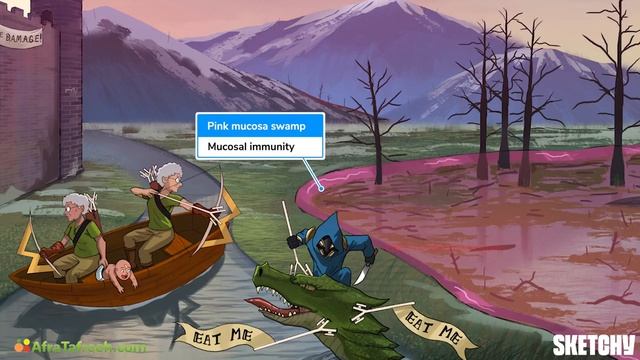 57 — Antibody Classes & Functions смотреть онлайн