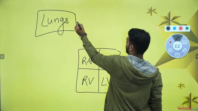 Transportation In Animals And Plants L1 | Class 7 Science Chapter 11 | NCERT | Vedantu | Pritesh Si смотреть онлайн