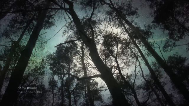 The Lightworker - Chakras Balancing Meditation | Shaman Drum & RAV Relaxing Journey