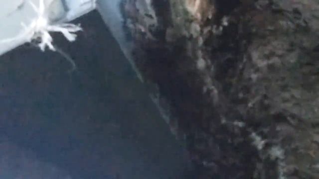 Рой Ловушка и Ватрушка смотреть онлайн