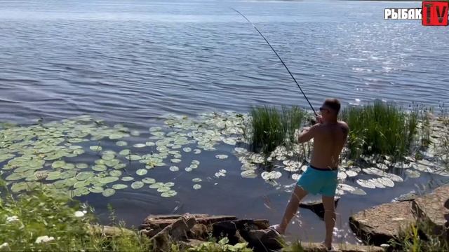 Фидер на Волхове. Ловля белой рыбы на Волхове. Летняя рыбалка. смотреть онлайн