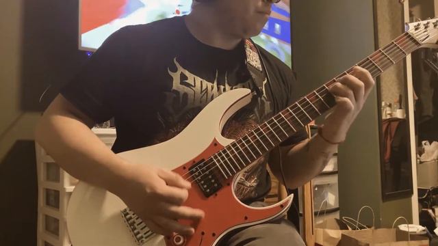 City of a Million Graves Guitar Cover смотреть онлайн