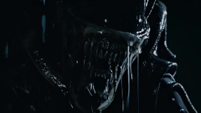 Brandon's Cult Movie Reviews: THE CARNOSAUR MOVIES
