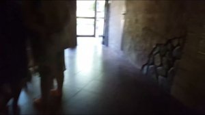 ЗООПАРК Лимпопо!! ОЧЕНЬ интересное видео, Самые опасные и милые ЖИВОТНЫЕ.