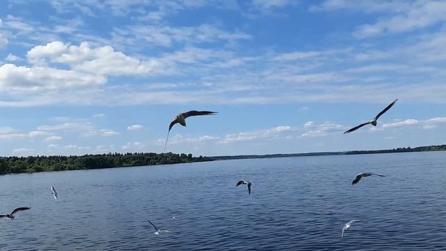 На курорте Усть-Качка смотреть онлайн