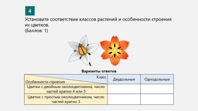 Биология 8 класс. Лаб. работа №4. Исследование признаков классов однодольных и двудольных растений смотреть онлайн