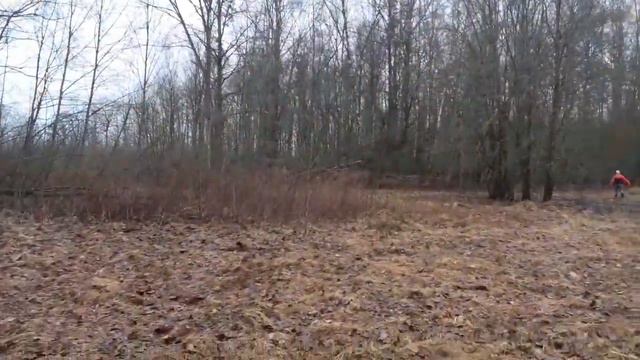 НЕМНОГО ДЕНЬ РОЖДЕНИЯ🥰ПРОГУЛКА ЗА ВЕРБОЙ🌝ЖИЗНЬ В СЕЛЕ❤ смотреть онлайн