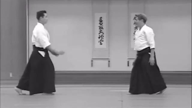 Nishio Aikido Ryu - Shomenuchi Sankyo смотреть онлайн