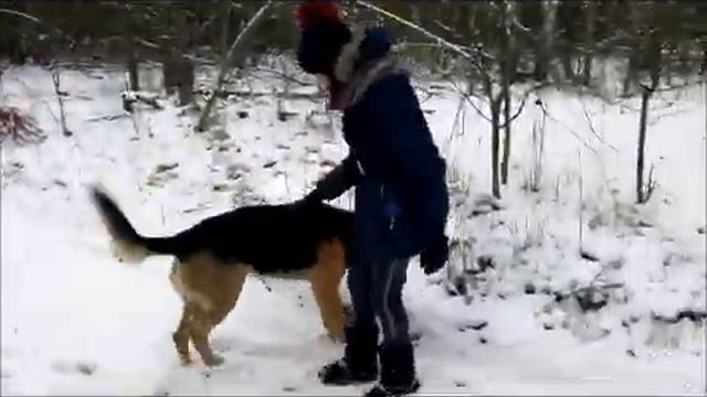 Гуляем с Лари...сегодня идем в зимний лес... смотреть онлайн