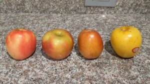 Самые вкусные сорта яблок в США: Pink Lady Fuji Braeburn Opal