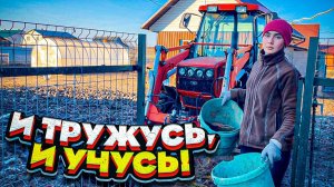 Работа на Ферме. Учёба и планы на будущее | Молодая Ферма