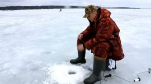 Ловля на безмотылку без кивка