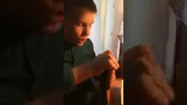 Что будет если смешать ДОШИРАК и ЭНЕРГЕТИК смотреть онлайн
