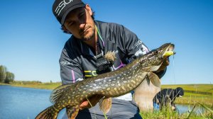 Как ловить щуку на прудах в начале лета. Щука в корягах не клюет!? [Пора ловить щуку]