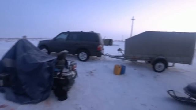 охота на волков.волки РАЗОРВАЛИ маленького теленка! Wolfsjagd смотреть онлайн