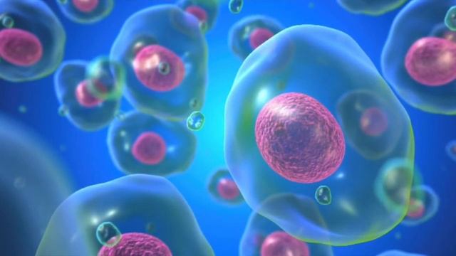 Стресс и фосфолипиды. смотреть онлайн