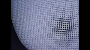 Toyota corolla 120 катализатор при пробеге 300 т.км