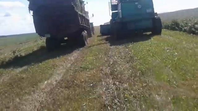 Заготовка силоса.День 1 смотреть онлайн