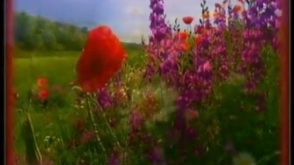 Мы уходим... wmv