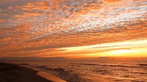 Роберт Адамс #Просветление #Пробуждение #Сатсанг