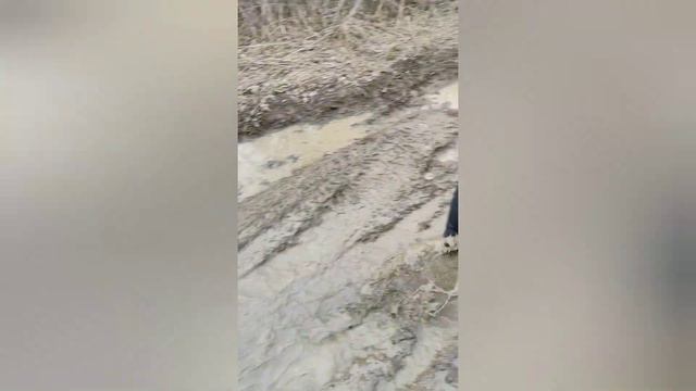 попурри сезона. покатушки, отдых, эндуро,весело гуляем😄 смотреть онлайн