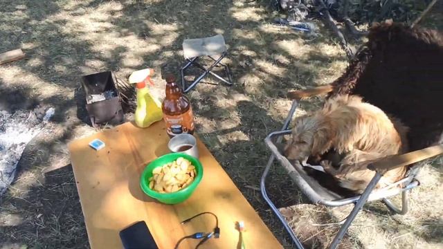 ОТШЕЛЬНИК НА БОЛОТЕ. hermit in the swamp. перед открытием охоты?? смотреть онлайн