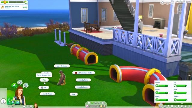 DOG SITTER CAREER? // TAKE CARE OF DOGS, PICK CLIENTS & WHEN YOU WORK! | MOD REVIEW – THE SIMS 4 смотреть онлайн
