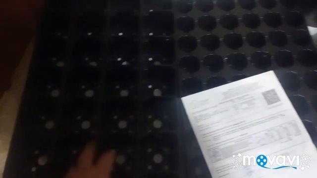 Горшки и кассеты в которых будем выращивать саженцы смотреть онлайн
