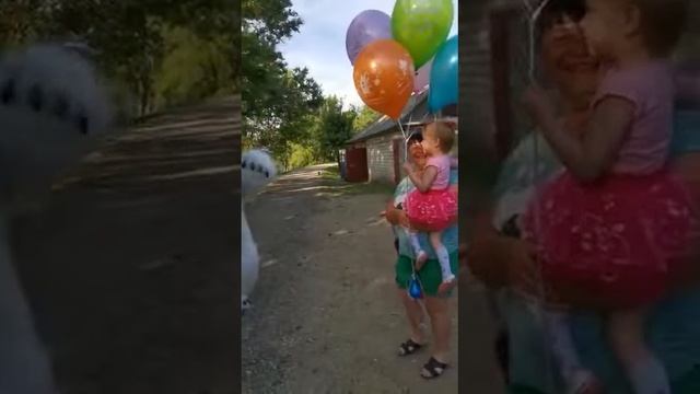 Белый мишка поздравление Приморский край смотреть онлайн