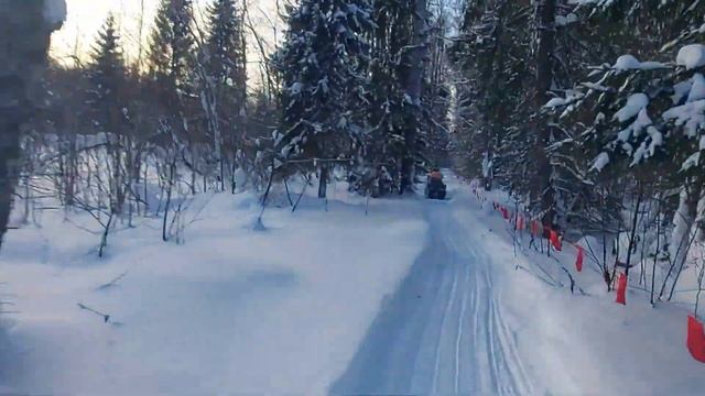 ОХОТА НА ВОЛКОВ ФЛАЖКАМИ!ДОБЫЛИ ВОЛЧИЦУ! смотреть онлайн