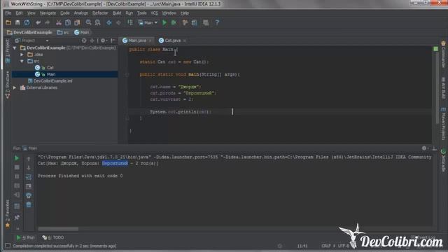Java для начинающих: Урок 19. Создание объектов смотреть онлайн