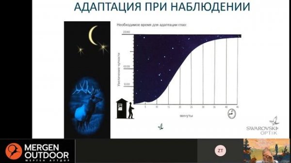 Основы охотничьей оптики компании Swarovski 2 или почему Swarovski дорого стоит⁉️