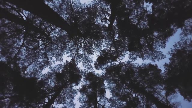 Antarctica - A Place With NO Ants & The LARGEST Desert ? смотреть онлайн