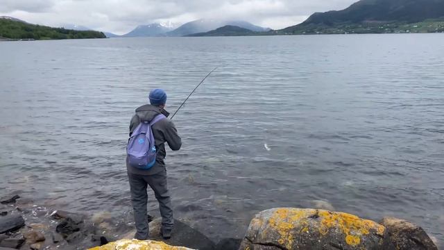 Рыбалка МЕЧТЫ, ПОПАЛ на ЖОР ТРЕСКИ!!! Рыбалка в Норвегии 2023 смотреть онлайн