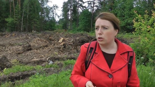 Эко активисты в Солнечногорском районе МО на трассе строительства ЦКАД смотреть онлайн