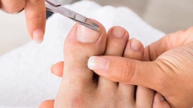 Что творит денежное дерево / толстянка лечебные свойства #пользатолстянки #денежноедерево #крассула смотреть онлайн