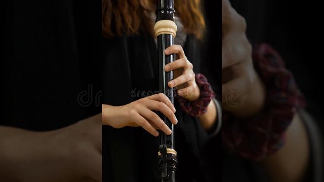 Bwv 1032 - Vivace - smooth brazilian jazz - percussion groove - alto recorder backing track смотреть онлайн
