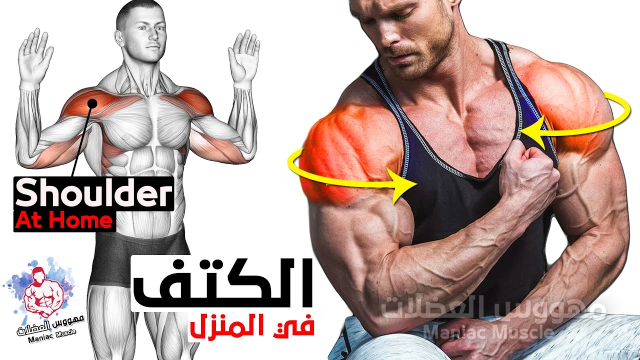 Упражнения для плеч в домашних условиях! смотреть онлайн